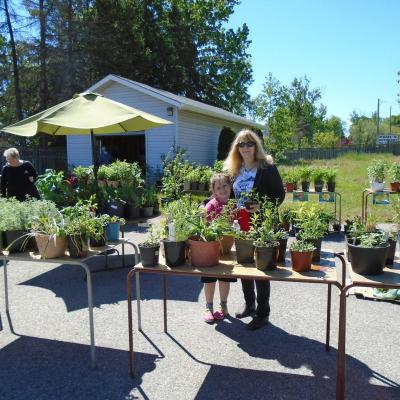 plant sale