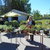 plant sale